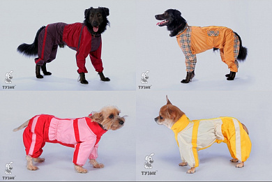 Тузик Комбинезон Русский спаниель