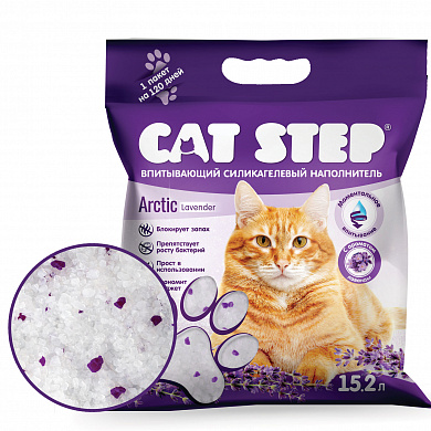 Cat Step Arctic Lavender