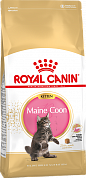 Royal Canin Kitten Maine Coon 36