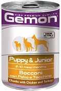 Gemon Puppy&Junior